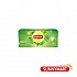 녹차 / Lipton Green Tea Pure 25 Teabags