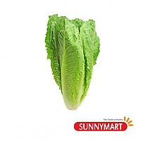 상추 / Romain Lettuce