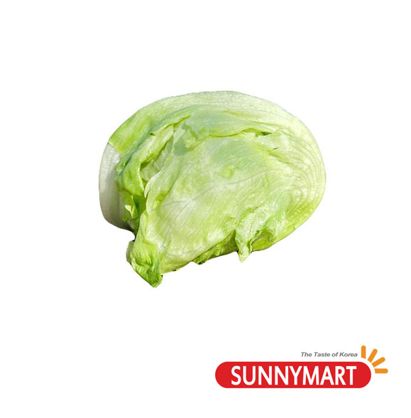 양상추 / Iceberg Lettuce