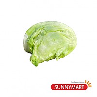 양상추 / Iceberg Lettuce