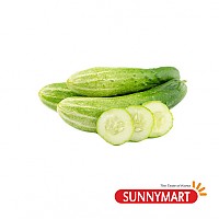 오이 / Cucumber